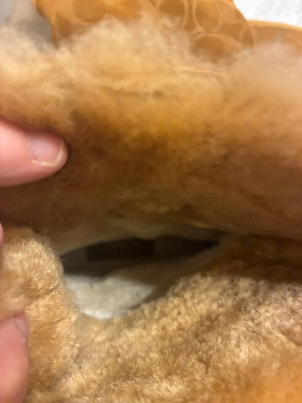 Coach Suede‎ Boot in Tan